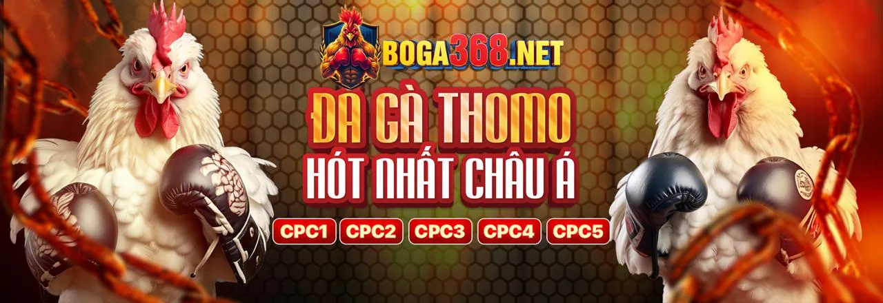 Đá Gà Trực Tiếp với 999ok code